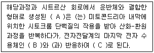 문제 이미지