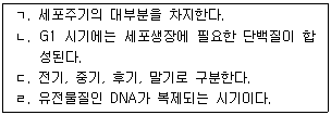 문제 이미지