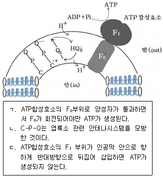 문제 이미지
