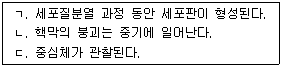 문제 이미지