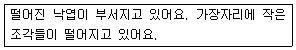 문제 이미지