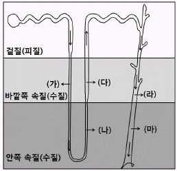 문제 이미지