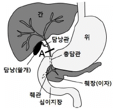 문제 이미지
