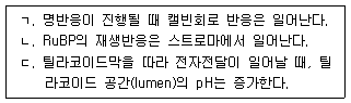 문제 이미지