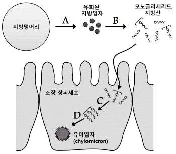 문제 이미지