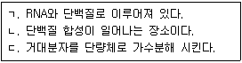 문제 이미지