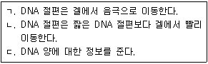 문제 이미지