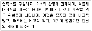 문제 이미지