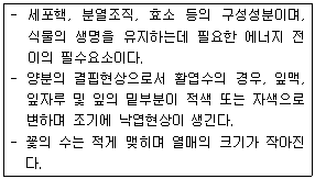 문제 이미지