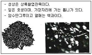 문제 이미지