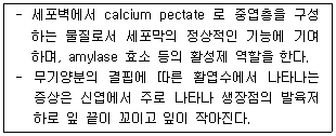 문제 이미지