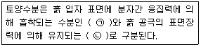 문제 이미지