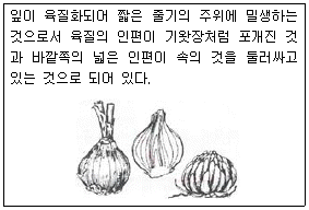 문제 이미지