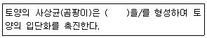 문제 이미지