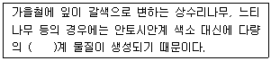 문제 이미지