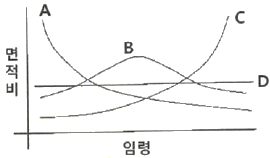 문제 이미지