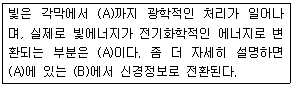 문제 이미지