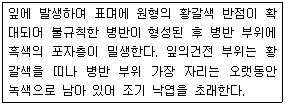문제 이미지