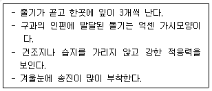 문제 이미지