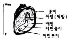 문제 이미지