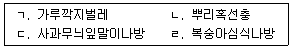 문제 이미지