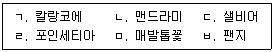 문제 이미지