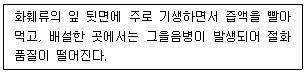 문제 이미지