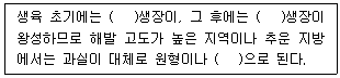 문제 이미지