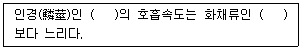 문제 이미지