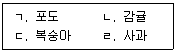문제 이미지