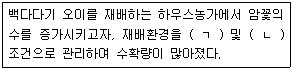 문제 이미지