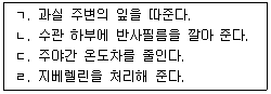 문제 이미지
