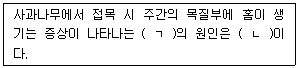 문제 이미지