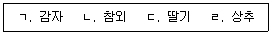 문제 이미지