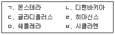 문제 이미지