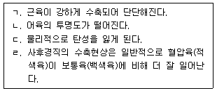 문제 이미지