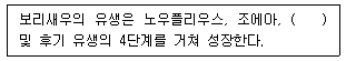 문제 이미지