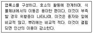 문제 이미지