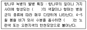 문제 이미지