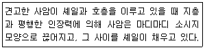 문제 이미지