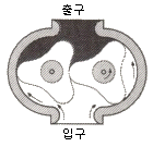 문제 이미지