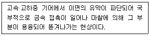 문제 이미지