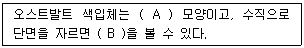 문제 이미지