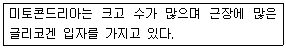 문제 이미지