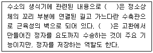 문제 이미지