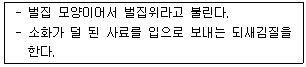 문제 이미지
