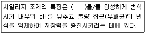 문제 이미지
