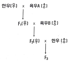 문제 이미지