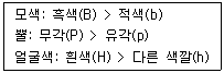 문제 이미지