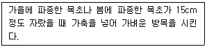 문제 이미지